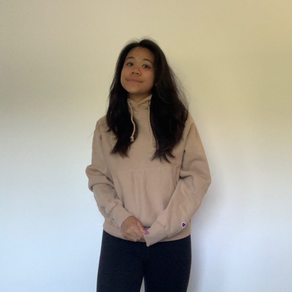Champion Reverse Weave Aerna Small Hoodie in Tan